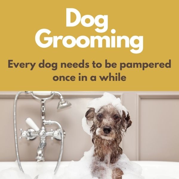 Cotswold Pet Supplies Dog Collars and Harnesses, Dog Food